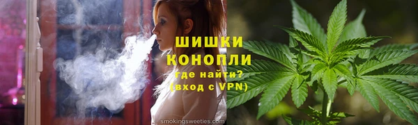 PSILOCYBIN Магас