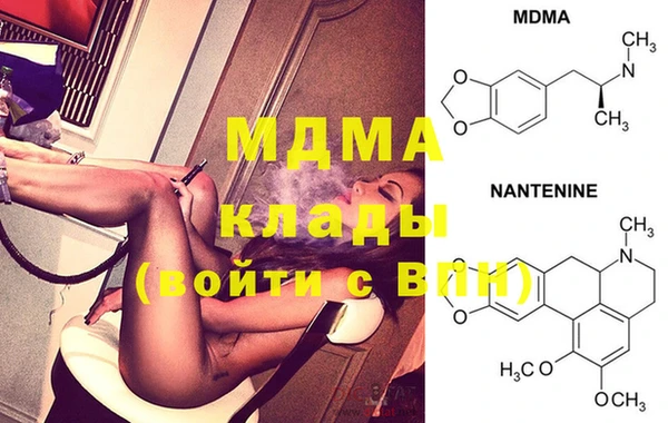 PSILOCYBIN Магас
