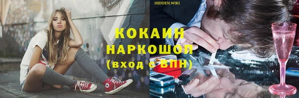 PSILOCYBIN Магас