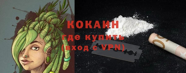 PSILOCYBIN Магас