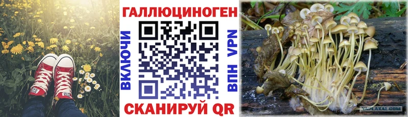 Псилоцибиновые грибы ЛСД  Купить где  Кунгур 